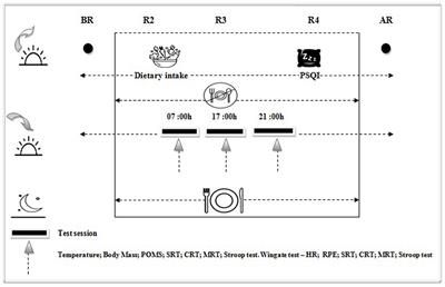 Effects of Ramadan fasting on the diurnal variations of physical and cognitive performances at rest and after exercise in professional football players